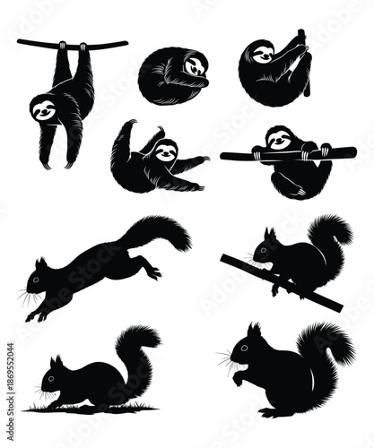 silhouettes of animals, Sloths and Squirrel vector.