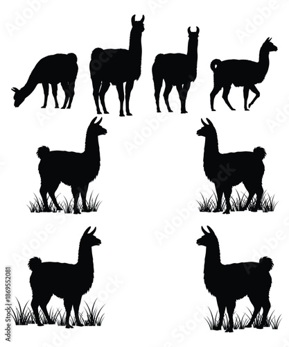 farm animals silhouettes vector Llama silhouette.