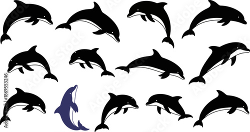 Dolphin silhouettes jumping in sequence set of marine animal icons for aquatic theme ocean mammal swimming collection isolated on transparent background for logo and decal design