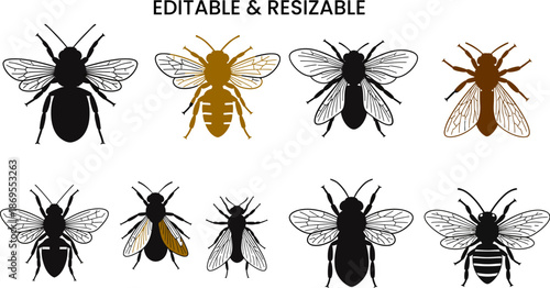 Honey bee and wasp silhouettes collection with detailed wings and bodies different insect types isolated on transparent background for nature biology and pest control design projects