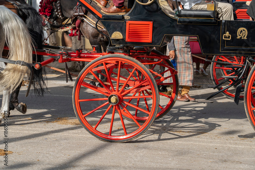Celebrating Spanish culture, traditional horses dance in Malaga's iconic summer fair, showcasing equestrian excellence in the heart of Andalusia.