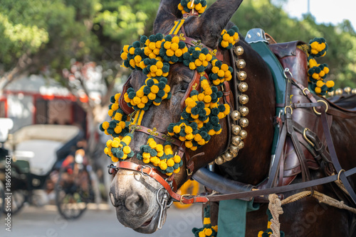 Celebrating Spanish culture, traditional horses dance in Malaga's iconic summer fair, showcasing equestrian excellence in the heart of Andalusia.