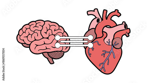 A medical illustration showing a brain and heart connected by white lines against a white background (2)_traced