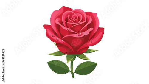 A single vibrant red rose with water droplets on its petals stands alone, symbolizing beauty, love, and passion.