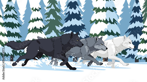 Flat vector illustration of wolves running together in a snowy forest, wildlife teamwork and pack behavior shown in a natural winter habitat for education themes