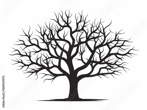 A stark black silhouette of a bare tree against a white background