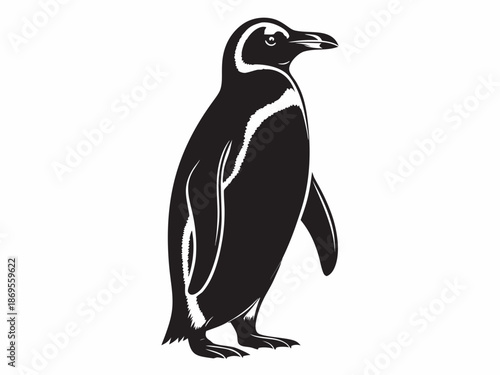 A striking black and white illustration of a majestic penguin in profile