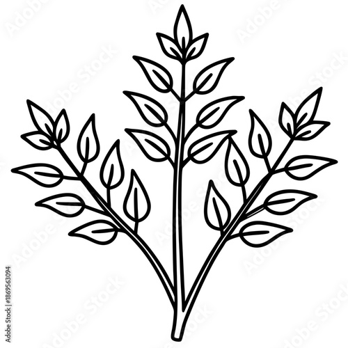 Medicinal Herbs Outline Vector Set – Minimal Botanical Line Art