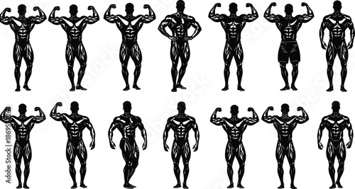 Silhouettes of muscular male bodybuilders flexing in competition poses, showcasing strength, fitness, anatomy, and physique in dynamic sports illustration