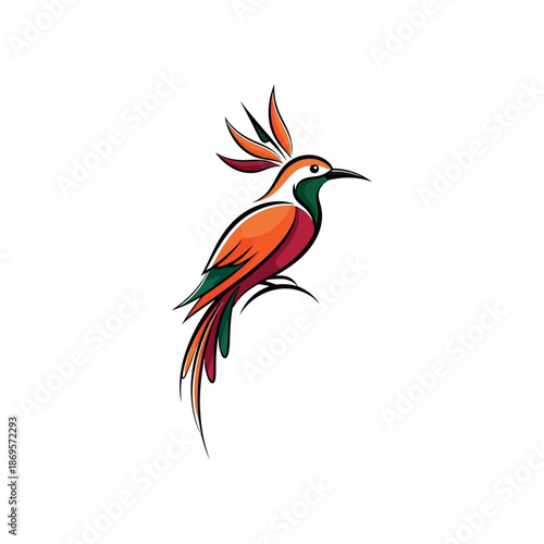 Vibrant illustration of a colorful bird in flight with long tail feathers and crest.