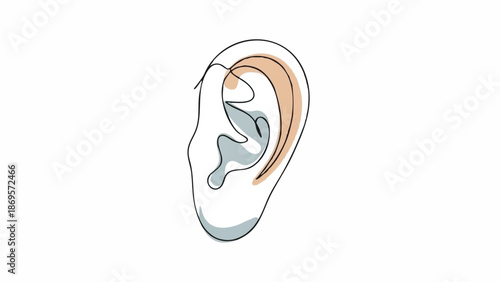 Detailed Anatomical Illustration of the Human Ear.