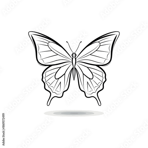 A detailed illustration of a butterfly with outstretched wings hovers above a gray background.