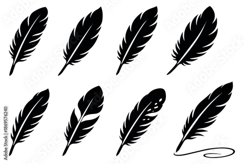 Black silhouette feather set featuring various styles of bird and quill feathers for creative design