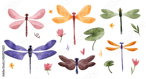Foto A large set of translucent watercolor dragonflies, water lilies, and flowers