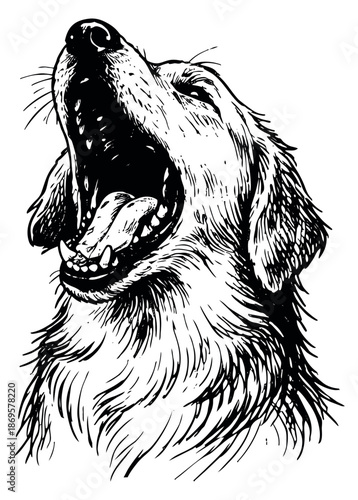 Hand drawn line art illustration of a golden retriever dog depicting howling with its mouth open for animal-themed designs