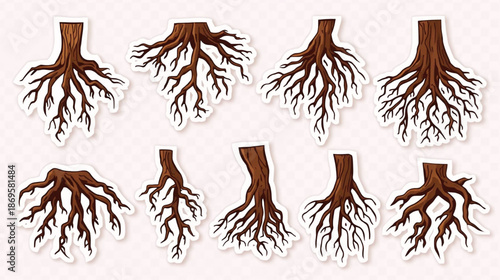 Set of tree stumps with exposed roots in various shapes and sizes