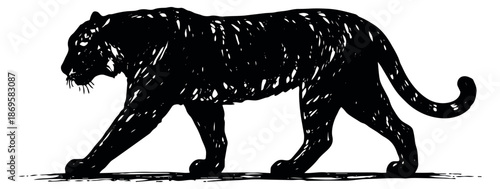 Hand drawn illustration of a black panther depicting its silhouette for wildlife themes