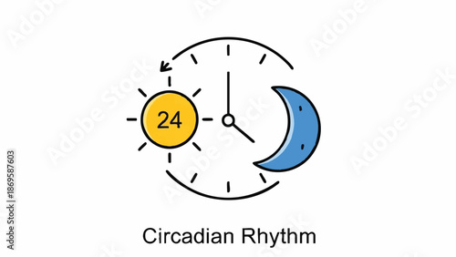 Circadian Rhythm Sun Moon Clock Cycle.