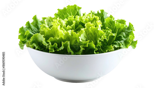 Wallpaper Mural Close-up of fresh, leafy green lettuce filling a bright white bowl against black backdrop Torontodigital.ca
