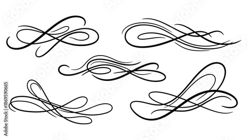 Elegant Hand-Drawn Calligraphic Swirls and Flourishes for Decorative Design Elements.