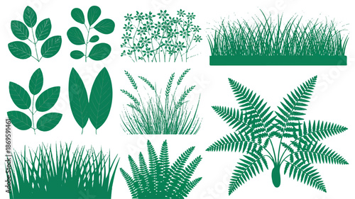 Lush botanical illustration collection featuring diverse green foliage, leafy branches, various grasses, and elegant fern designs, ideal for nature-inspired projects