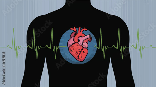 Human Heartbeat EKG Monitoring Vector Illustration