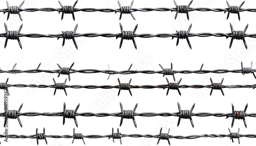 Wallpaper Mural Close-up of multiple strands of barbed wire against a black background Torontodigital.ca