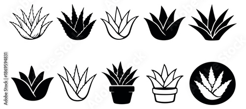 Stylized aloe vera plant set featuring line art and silhouette designs for botanical and wellness themes