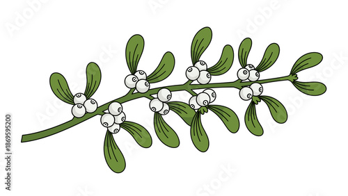 Festive mistletoe branch illustration with white berries and green leaves symbolizing holiday cheer and romantic tradition, perfect for Christmas cards, seasonal decorations, and