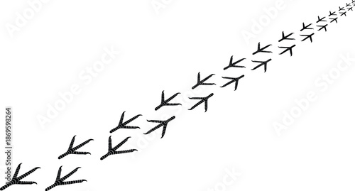 Black bird footprints trail on white background, crow or chicken tracks path vector, avian wildlife feet silhouette for nature tracking,