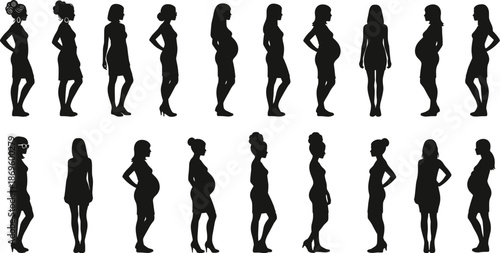 Pregnant woman silhouette, maternity stages, female body changes, pregnancy posture, motherhood concept, health education, fashion diversity, expecting mothers