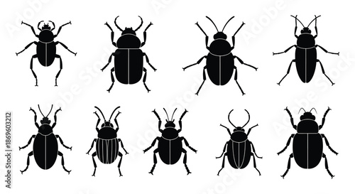 A collection of various black beetle silhouettes arranged in a grid pattern