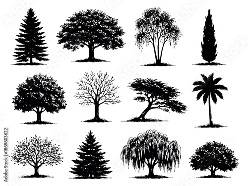 Hand drawn silhouette tree set featuring diverse species like oak, pine, and palm for nature illustrations