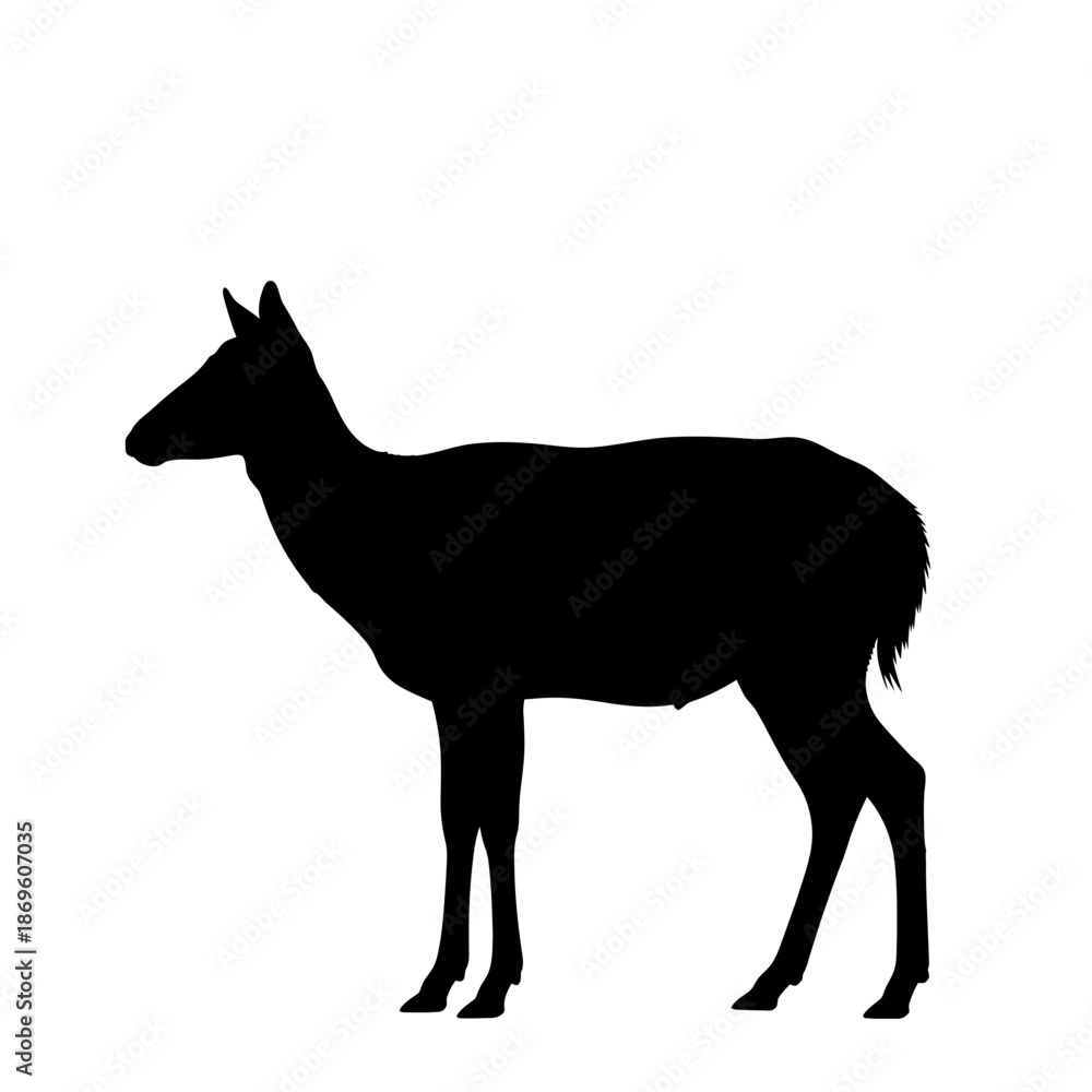 Fototapeta premium Silhouette of a graceful deer standing proudly against a white backdrop.
