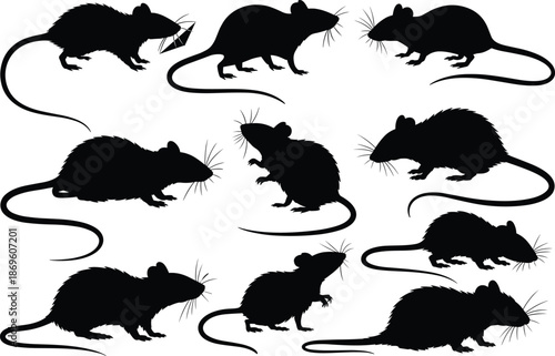 Rat silhouettes, rodent poses, black icons, vector art, flat illustration, whiskers, tail, crouch, cheese, animal behavior