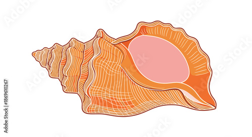 Detailed illustration of a large conch shell with intricate textures and a pink opening representing marine life tropical beaches and ocean treasures.