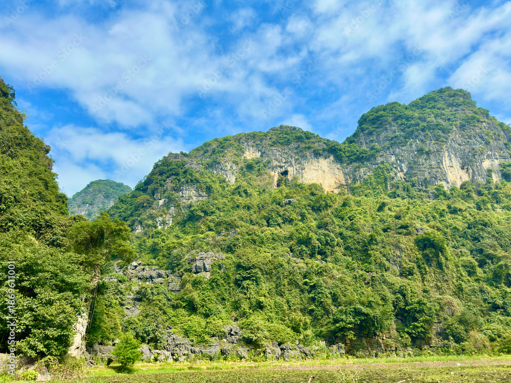 Obraz premium Beautiful vertical limestone cliffs under the blue sky at the famous Ninh Binh tourism destination area. A close-up of the beauty of vertical limestone cliffs with natural hollows and rich vegetation
