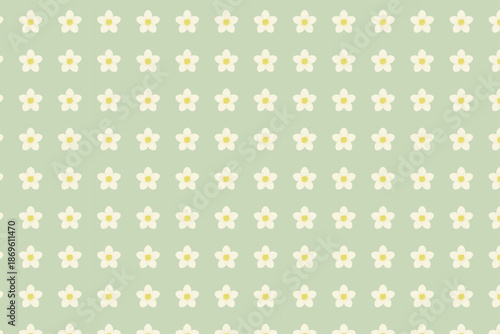 Spring white anemone seamless pattern, swatch available in swatches panel, with small cream blossoms and yellow centers on soft green background