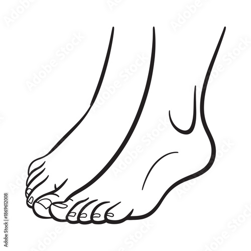 A simple black and white line drawing depicting a human foot and toes