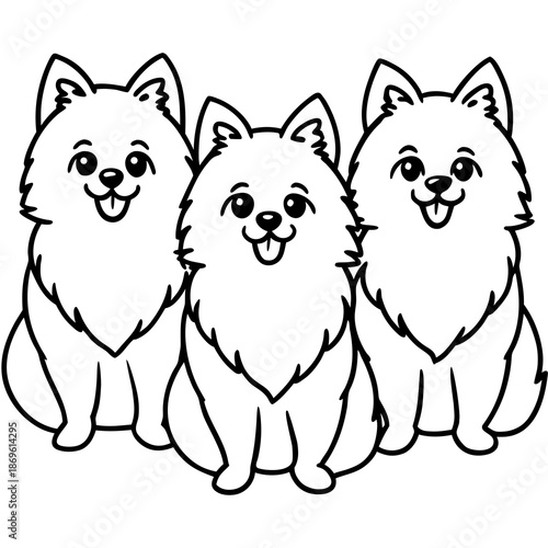 Three adorable pomeranian dogs sitting together, panting and looking forward on a white background