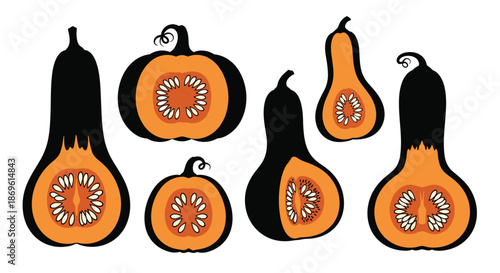 Collection of various whole and halved butternut squash or pumpkins in black and orange silhouettes.