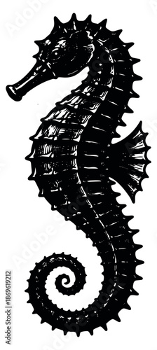 Hand drawn illustration of a seahorse depicting an intricate marine creature for ocean and sea life themes