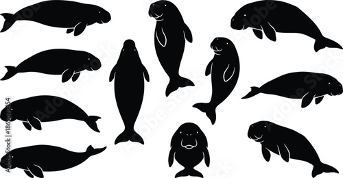 Black dugong and manatee silhouettes set featuring marine mammals in various poses like swimming diving and floating isolated on white background
