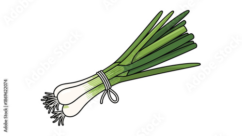 Freshly harvested green onions tied together with twine on a white background, representing healthy food ingredients and farm produce.