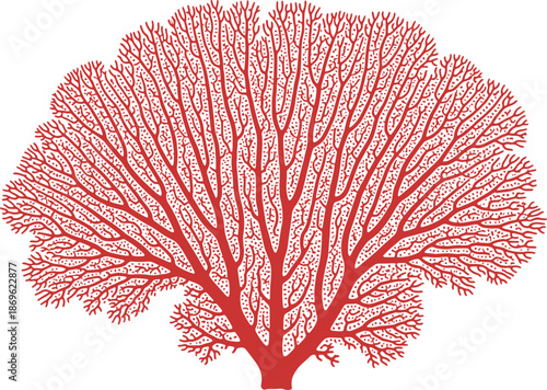 Detailed illustration of a leafless tree with intricate branches isolated