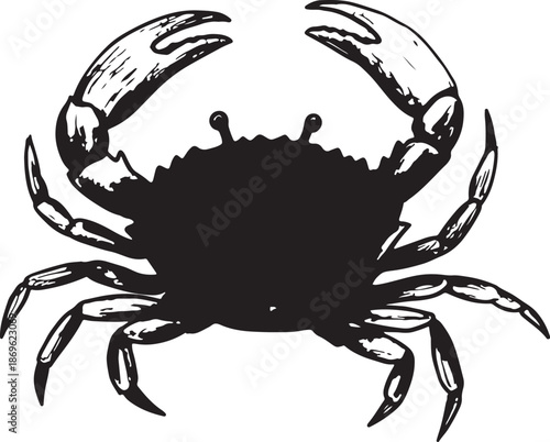 Detailed vector illustration of a black crab isolated