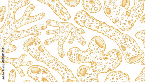 Microscopic view of bacteria and microorganisms isolated on transparent background