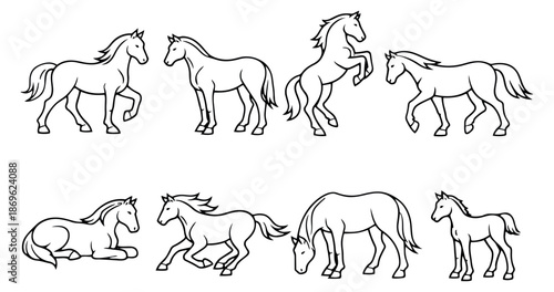 Line art horse illustrations set featuring horses in various poses and a foal for animal designs