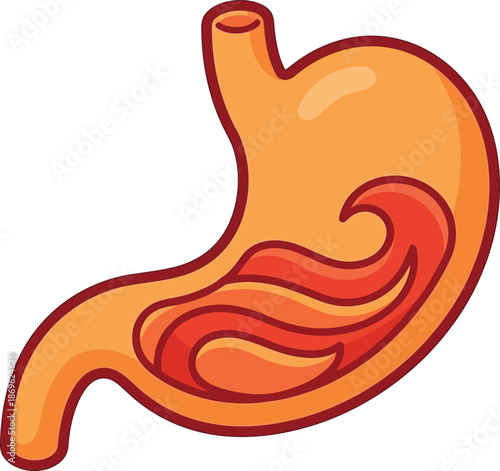 Human stomach, dispersing stomach icon, human internal organ vector, healthy and unhealthy, empty and full human stomach, stomach ace icon vector illustration