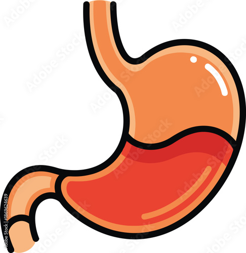Human stomach, dispersing stomach icon, human internal organ vector, healthy and unhealthy, empty and full human stomach, stomach ace icon vector illustration